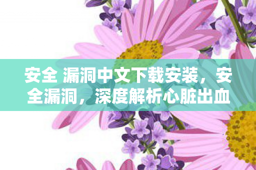 安全 漏洞中文下载安装,安全漏洞,深度解析心脏出血漏洞的威胁与防范 安全 漏洞中文下载安装,安全漏洞,深度解析心脏出血漏洞的威胁与防范