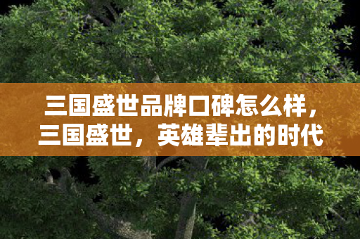 三国盛世品牌口碑怎么样,三国盛世,英雄辈出的时代与不朽传奇 三国盛世品牌口碑怎么样,三国盛世,英雄辈出的时代与不朽传奇