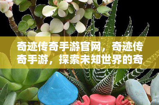 奇迹传奇手游官网,奇迹传奇手游,探索未知世界的奇幻之旅 奇迹传奇手游官网,奇迹传奇手游,探索未知世界的奇幻之旅