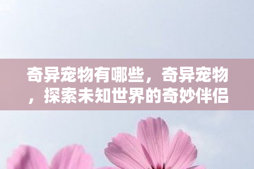 奇异宠物有哪些,奇异宠物,探索未知世界的奇妙伴侣 奇异宠物有哪些,奇异宠物,探索未知世界的奇妙伴侣