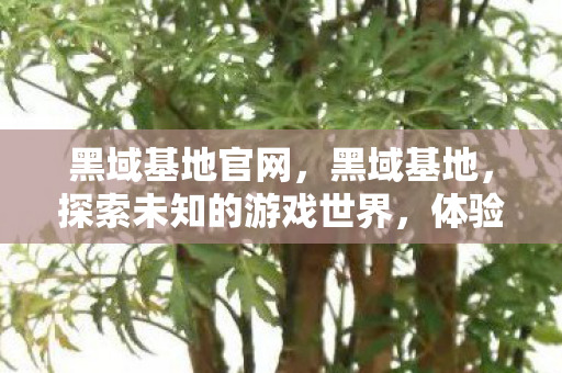 黑域基地官网，黑域基地，探索未知的游戏世界，体验极致的游戏乐趣