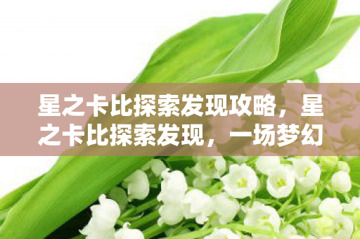 星之卡比探索发现攻略,星之卡比探索发现,一场梦幻般的冒险之旅 星之卡比探索发现攻略,星之卡比探索发现,一场梦幻般的冒险之旅