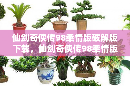 仙剑奇侠传98柔情版破解版下载，仙剑奇侠传98柔情版，经典再现，情怀永存