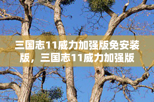 三国志11威力加强版免安装版，三国志11威力加强版下载，重温经典战略游戏的魅力