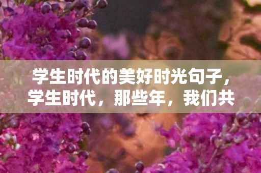 学生时代的美好时光句子,学生时代,那些年,我们共同追逐的游戏天堂 学生时代的美好时光句子,学生时代,那些年,我们共同追逐的游戏天堂