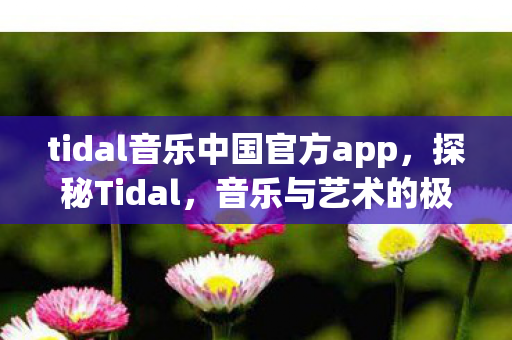 tidal音乐中国官方app,探秘Tidal,音乐与艺术的极致盛宴 tidal音乐中国官方app,探秘Tidal,音乐与艺术的极致盛宴