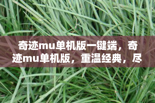 奇迹mu单机版一键端,奇迹mu单机版,重温经典,尽享无限可能 奇迹mu单机版一键端,奇迹mu单机版,重温经典,尽享无限可能