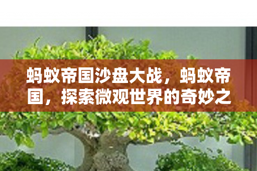 蚂蚁帝国沙盘大战，蚂蚁帝国，探索微观世界的奇妙之旅