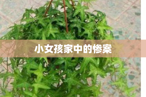 小女孩家中的惨案
