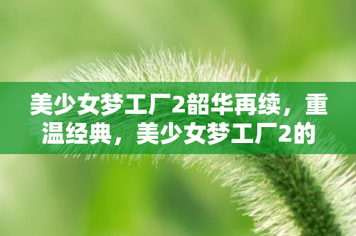 美少女梦工厂2韶华再续,重温经典,美少女梦工厂2的梦幻时光 美少女梦工厂2韶华再续,重温经典,美少女梦工厂2的梦幻时光