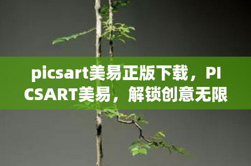 picsart美易正版下载,PICSART美易,解锁创意无限的图片编辑神器 picsart美易正版下载,PICSART美易,解锁创意无限的图片编辑神器