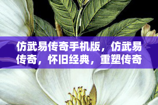 仿武易传奇手机版图片