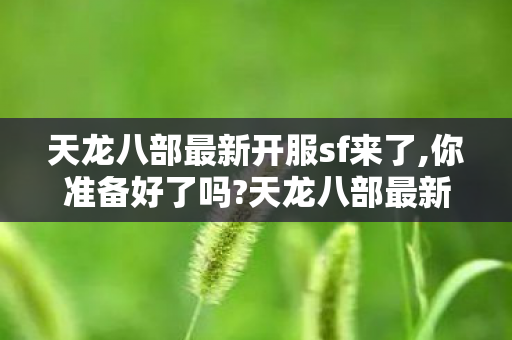 天龙八部最新开服sf来了图片