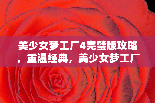 美少女梦工厂4完璧版攻略，重温经典，美少女梦工厂4完璧版，唤醒你的少女心