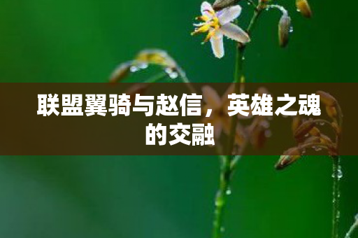 联盟翼骑与赵信,英雄之魂的交融 联盟翼骑与赵信,英雄之魂的交融