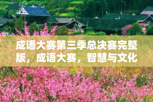成语大赛第三季总决赛完整版,成语大赛,智慧与文化的碰撞 成语大赛第三季总决赛完整版,成语大赛,智慧与文化的碰撞
