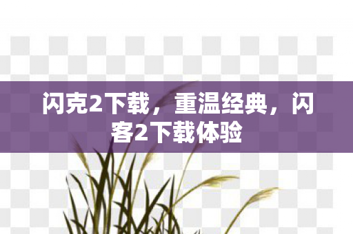 闪克2下载,重温经典,闪客2下载体验 闪克2下载,重温经典,闪客2下载体验