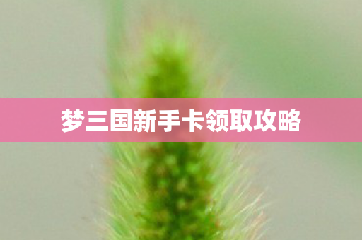 梦三国新手卡领取攻略 梦三国新手卡领取攻略