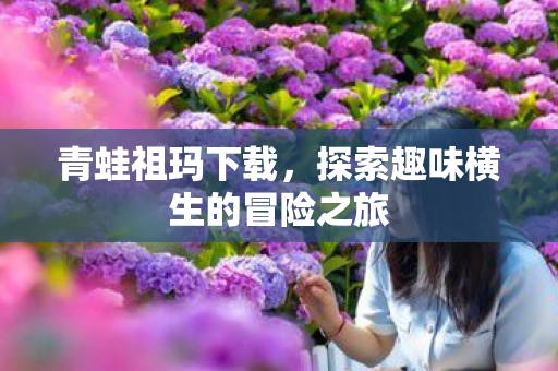 探索趣味横生的冒险之旅图片