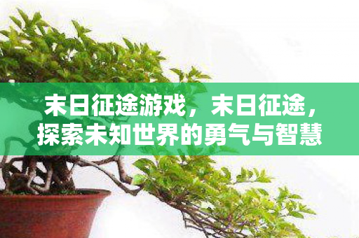 末日征途游戏，末日征途，探索未知世界的勇气与智慧