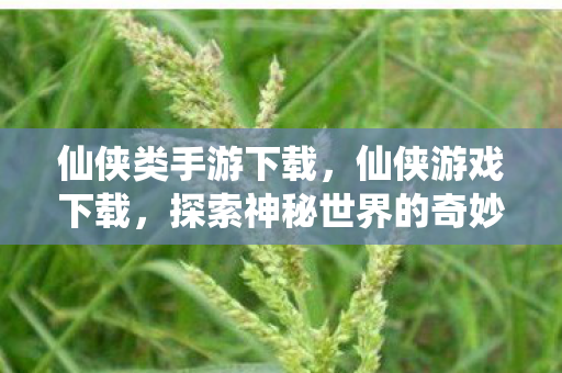 仙侠类手游下载,仙侠游戏下载,探索神秘世界的奇妙之旅 仙侠类手游下载,仙侠游戏下载,探索神秘世界的奇妙之旅