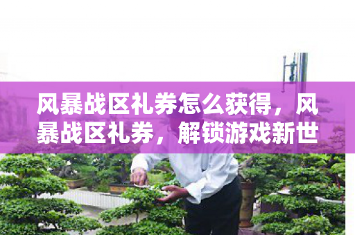 风暴战区礼券怎么获得，风暴战区礼券，解锁游戏新世界的钥匙