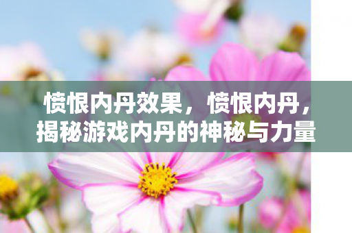 愤恨内丹效果,愤恨内丹,揭秘游戏内丹的神秘与力量 愤恨内丹效果,愤恨内丹,揭秘游戏内丹的神秘与力量