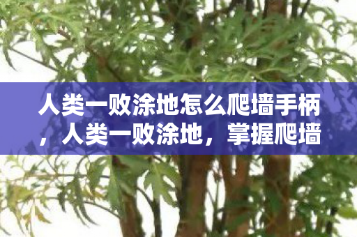 人类一败涂地怎么爬墙手柄,人类一败涂地,掌握爬墙技巧,突破游戏难关 人类一败涂地怎么爬墙手柄,人类一败涂地,掌握爬墙技巧,突破游戏难关