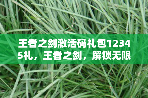 王者之剑激活码礼包12345礼,王者之剑,解锁无限可能的神秘礼包 王者之剑激活码礼包12345礼,王者之剑,解锁无限可能的神秘礼包