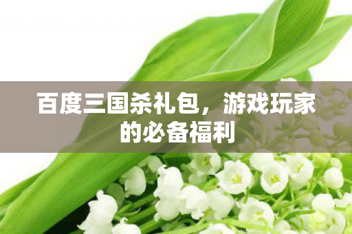 百度三国杀礼包,游戏玩家的必备福利 百度三国杀礼包,游戏玩家的必备福利
