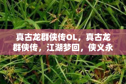 真古龙群侠传OL,真古龙群侠传,江湖梦回,侠义永存 真古龙群侠传OL,真古龙群侠传,江湖梦回,侠义永存
