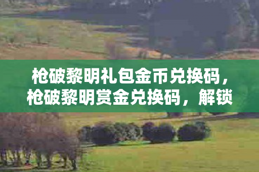 枪破黎明礼包金币兑换码，枪破黎明赏金兑换码，解锁无限可能的神秘钥匙