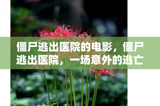 僵尸逃出医院的电影,僵尸逃出医院,一场意外的逃亡之旅 僵尸逃出医院的电影,僵尸逃出医院,一场意外的逃亡之旅