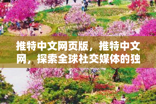 推特中文网页版，推特中文网，探索全球社交媒体的独特魅力