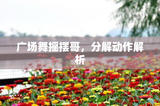 广场舞摇摆哥,分解动作解析 广场舞摇摆哥,分解动作解析