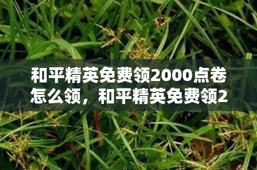 和平精英免费领2000点卷怎么领,和平精英免费领2000点卷,官方活动大揭秘与攻略分享 和平精英免费领2000点卷怎么领,和平精英免费领2000点卷,官方活动大揭秘与攻略分享