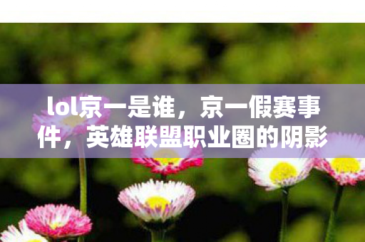 lol京一是谁,京一假赛事件,英雄联盟职业圈的阴影 lol京一是谁,京一假赛事件,英雄联盟职业圈的阴影