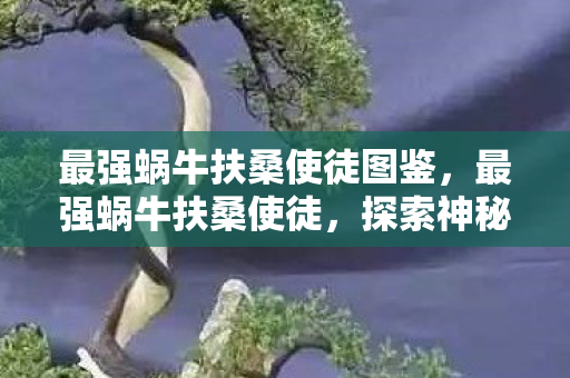 最强蜗牛扶桑使徒图鉴,最强蜗牛扶桑使徒,探索神秘扶桑的奇幻之旅 最强蜗牛扶桑使徒图鉴,最强蜗牛扶桑使徒,探索神秘扶桑的奇幻之旅