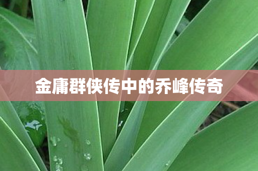 金庸群侠传中的乔峰传奇 金庸群侠传中的乔峰传奇
