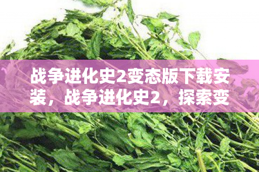 战争进化史2变态版下载安装,战争进化史2,探索变态版策略与战术的无限可能 战争进化史2变态版下载安装,战争进化史2,探索变态版策略与战术的无限可能