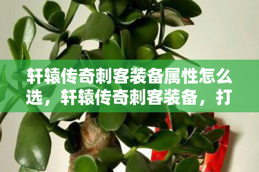 轩辕传奇刺客装备属性怎么选,轩辕传奇刺客装备,打造顶级战斗力的关键 轩辕传奇刺客装备属性怎么选,轩辕传奇刺客装备,打造顶级战斗力的关键