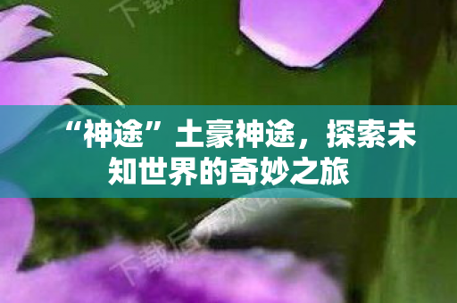 “神途”土豪神途,探索未知世界的奇妙之旅 “神途”土豪神途,探索未知世界的奇妙之旅