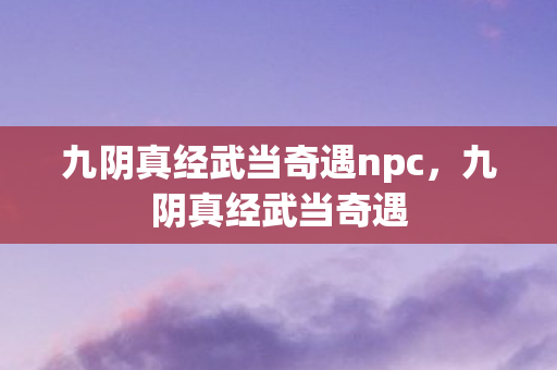 九阴真经武当奇遇npc，九阴真经武当奇遇