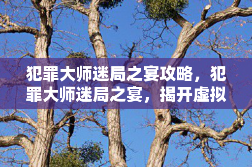犯罪大师迷局之宴攻略,犯罪大师迷局之宴,揭开虚拟世界的迷雾 犯罪大师迷局之宴攻略,犯罪大师迷局之宴,揭开虚拟世界的迷雾