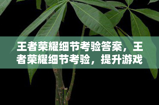 王者荣耀细节考验答案,王者荣耀细节考验,提升游戏水平的关键要素 王者荣耀细节考验答案,王者荣耀细节考验,提升游戏水平的关键要素