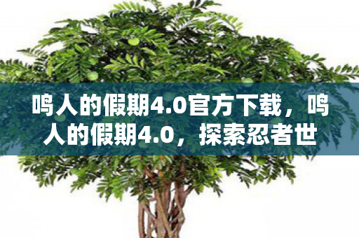 鸣人的假期4.0官方下载,鸣人的假期4.0,探索忍者世界的奇妙之旅 鸣人的假期4.0官方下载,鸣人的假期4.0,探索忍者世界的奇妙之旅