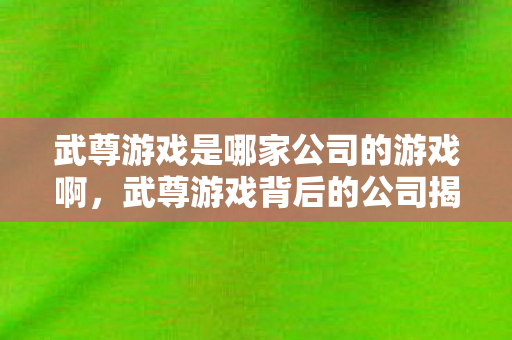 武尊游戏是哪家公司的游戏啊,武尊游戏背后的公司揭秘,探索传奇背后的力量 武尊游戏是哪家公司的游戏啊,武尊游戏背后的公司揭秘,探索传奇背后的力量