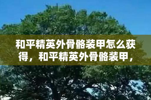 和平精英外骨骼装甲怎么获得,和平精英外骨骼装甲,未来战场的新利器 和平精英外骨骼装甲怎么获得,和平精英外骨骼装甲,未来战场的新利器