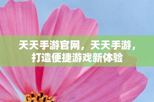打造便捷游戏新体验图片