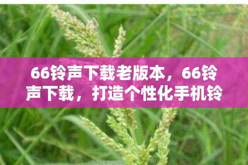 打造个性化手机铃声的绝佳平台图片